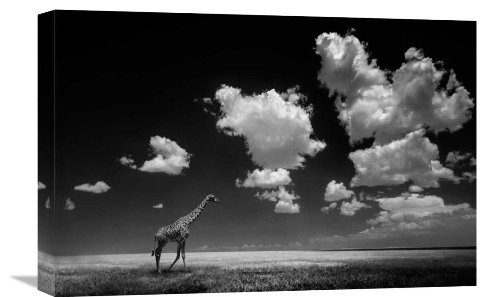"Gone With The Clouds" Stretched Canvas Giclee by Alberto Ghizzi Panizza, 22x15"