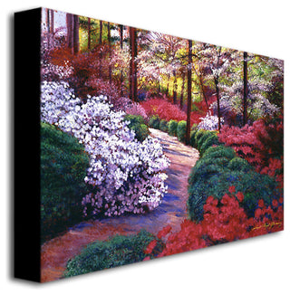 'April Beauties' Canvas Art by David Lloyd Glover