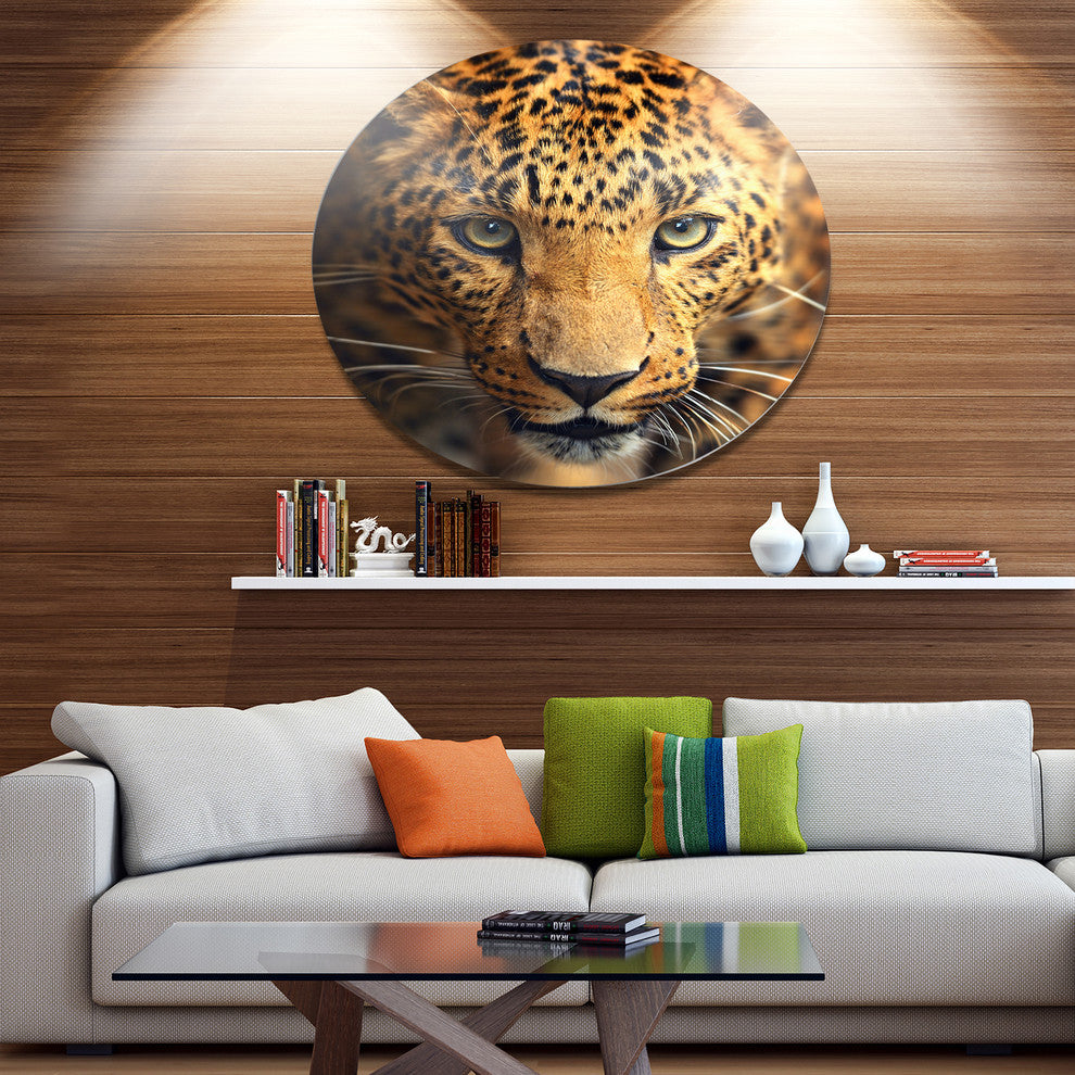 Leopard Face Close-Up, Animal Disc Metal Artwork, 23"