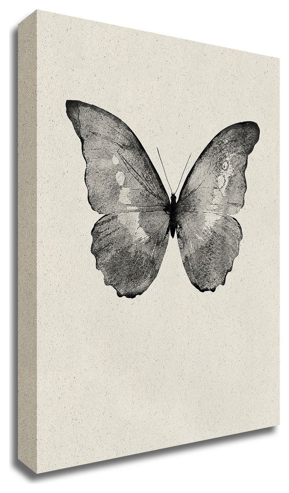 Black Butterfly on Tan by Design Fabrikken, Print on Canvas, 30" x 42"
