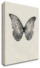 Black Butterfly on Tan by Design Fabrikken, Print on Canvas, 30" x 42"