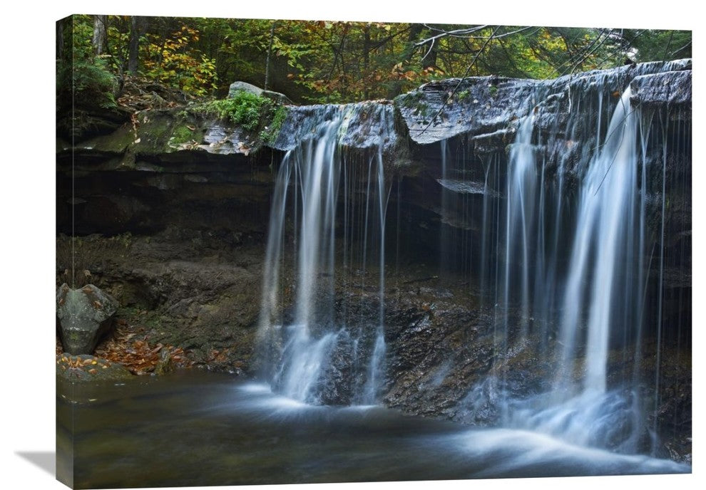 "Cayuga Falls, Ricketts Glen State Park, Pennsylvania" Artwork, 32" x 24"