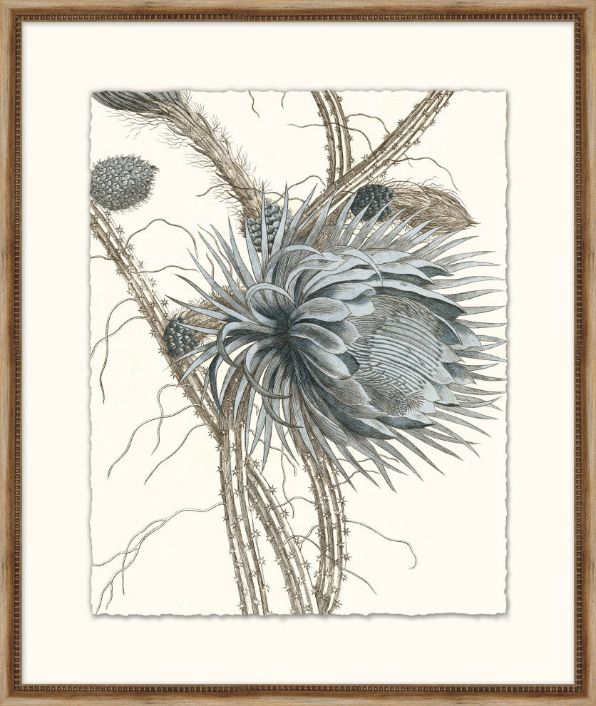 Azure Botanical 3, Giclee Reproduction Artwork