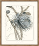 Azure Botanical 3, Giclee Reproduction Artwork
