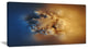 Small Macro Prickly Texture Brown, Abstract Canvas Wall Art, 32"x16"