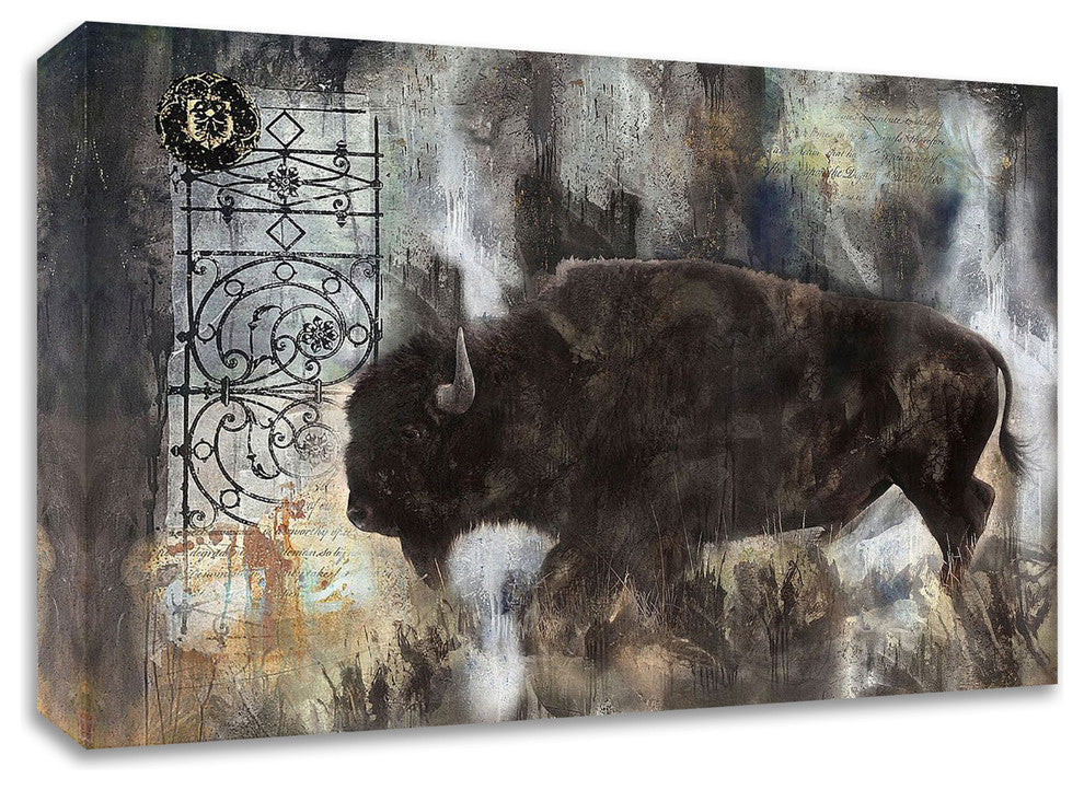 Buffalo by Marta Wiley, Print on Canvas, Ready to Hang