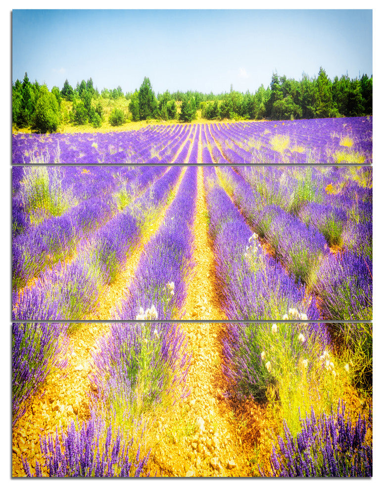Fantastic Lavender Field of France, Floral Triptych Canvas Art, 28x36, 3 Panels