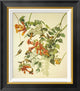 "Ruby-Throated Hummingbird" Framed Canvas Giclee by John James Audubon, 20x22"