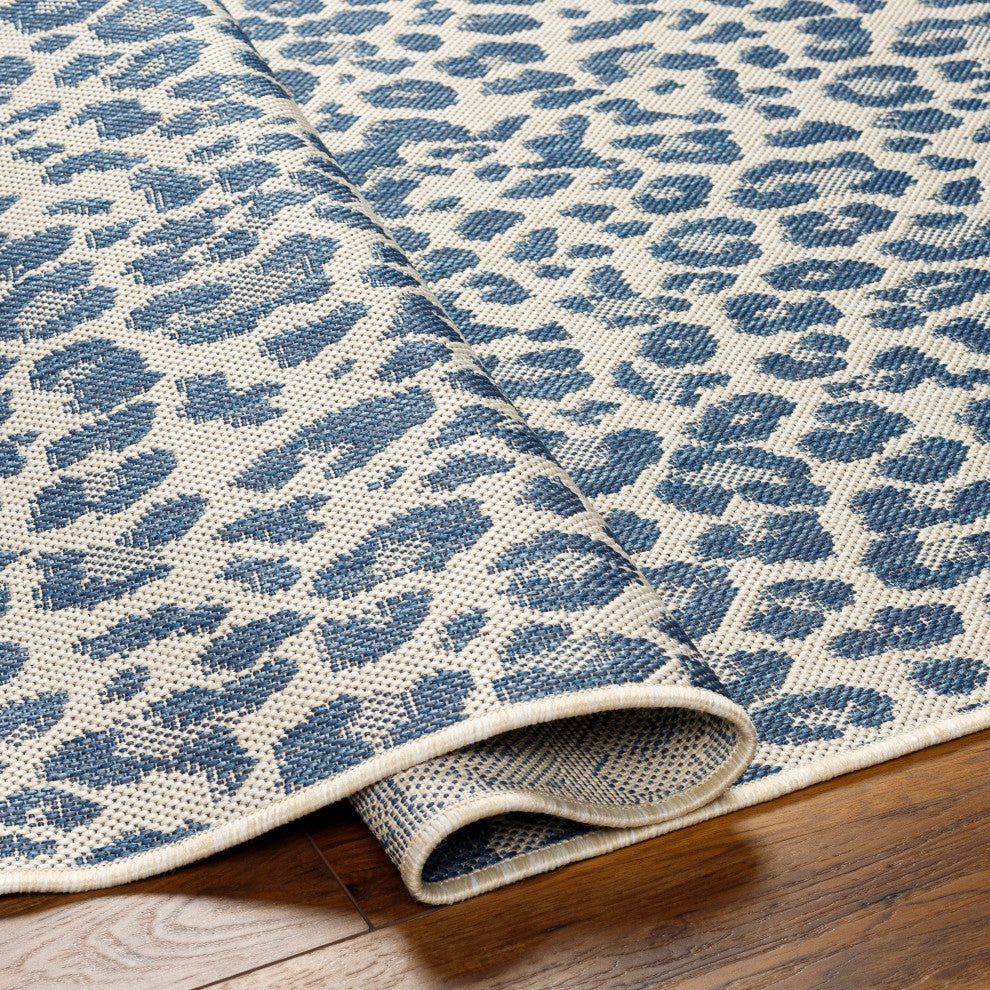 Surya Ravello RVL-2348 Indoor/Outdoor Area Rug