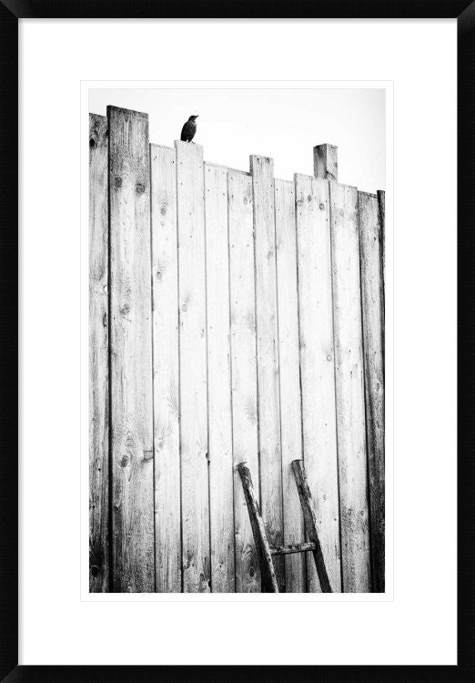 "Freed" Framed Digital Print by Jurgen Hartlieb, 20x30"