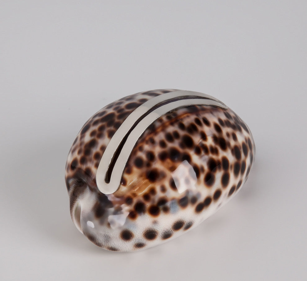 Cowery Shell Place Card Holder with Sterling Silver Insert
