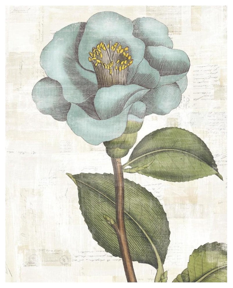 "Bloemen Boek V" Digital Paper Print by Sue Schlabach, 30"x37"