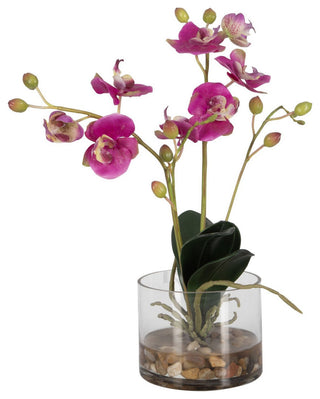 Uttermost - 60220 - Orchid - Glory Orchid - Fuchsia