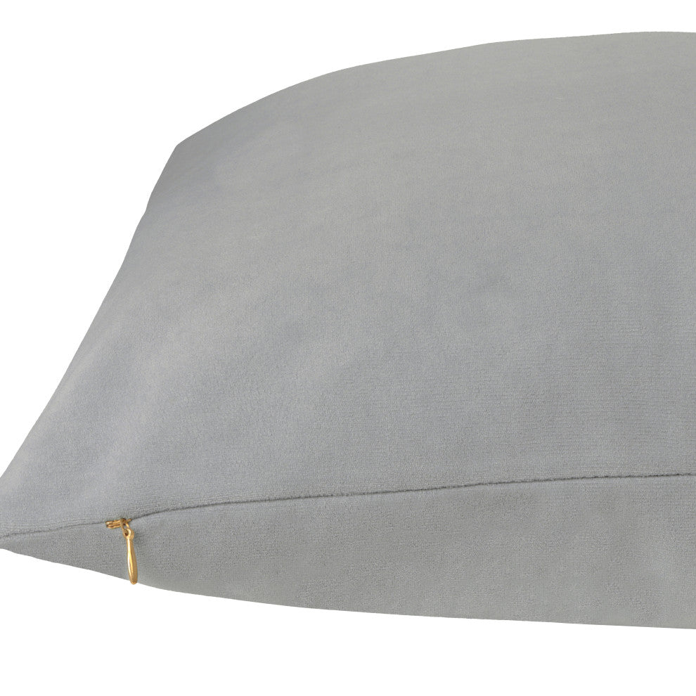 Delara Set of 1 Velvet 20x20" Cover, Goose Gray, Pillow Cover Only