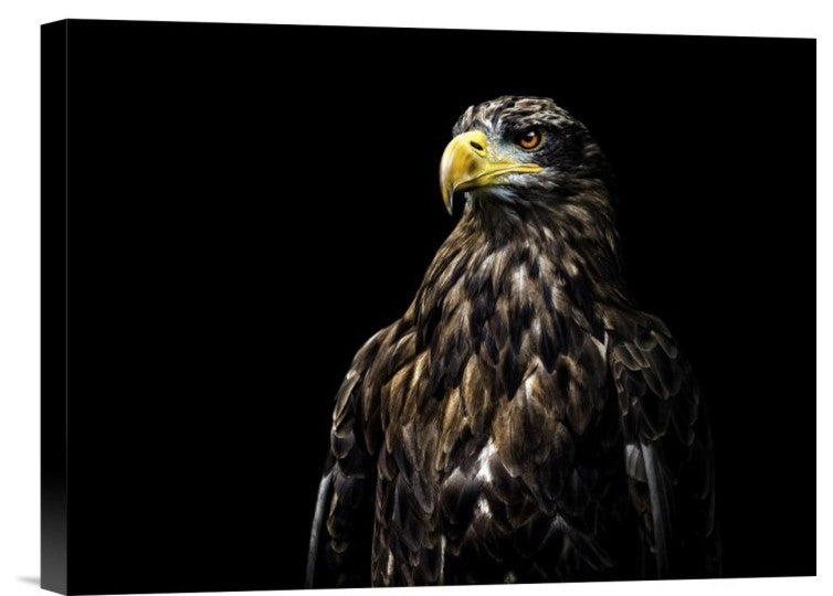 "Ego" Stretched Canvas Giclee by Christian Lechtenfeld, 16"x12"
