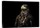 "Ego" Stretched Canvas Giclee by Christian Lechtenfeld, 16"x12"