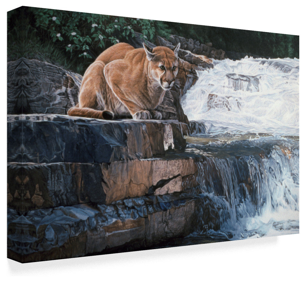 Ron Parker 'Summer Creek' Canvas Art, 32"x22"