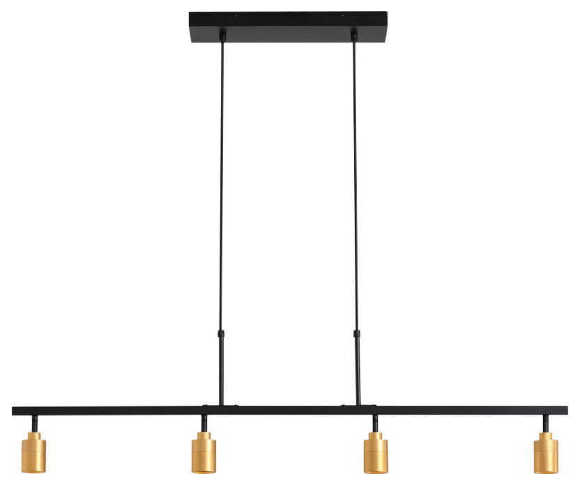 Vidalite Shura 4 Head Hanging LED Pendant Track, Black