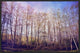 "Forest of Trees" Floater Framed Painting Print on Canvas, 18"x12"