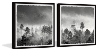 The Forest Spoke Diptych, 2-Piece Set, 24x24 Panels