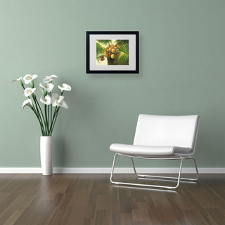 'Coconut Palm II' Matted Framed Canvas Art by Victor Giton