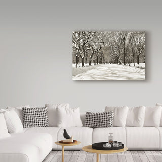 "Poets Walk" by Chris Bliss, Canvas Art, 30"x47"