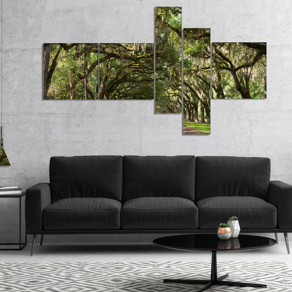Live Oak Tunnel, Photography Canvas Art Print, 60"x32", 5 panels