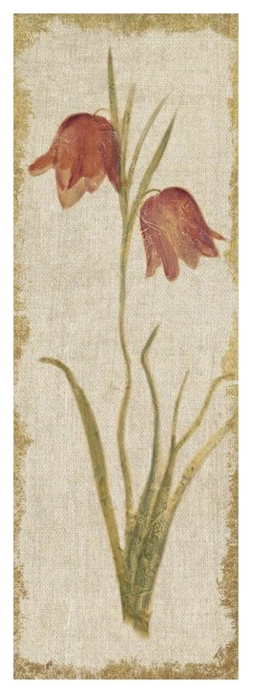 "Red Tulip Panel on White Vintage" Digital Paper Print by Cheri Blum, 26"x74"