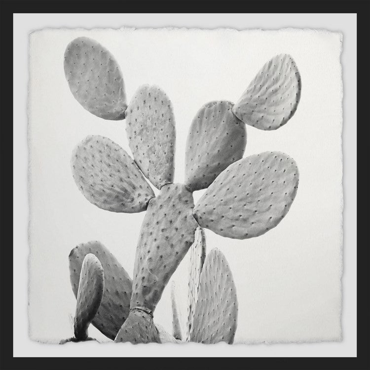 "Branching Out II" Framed Painting Print, 32"x32"