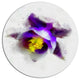 Blue Flower With Yellow Stigma, Floral Disc Metal Artwork, 36"