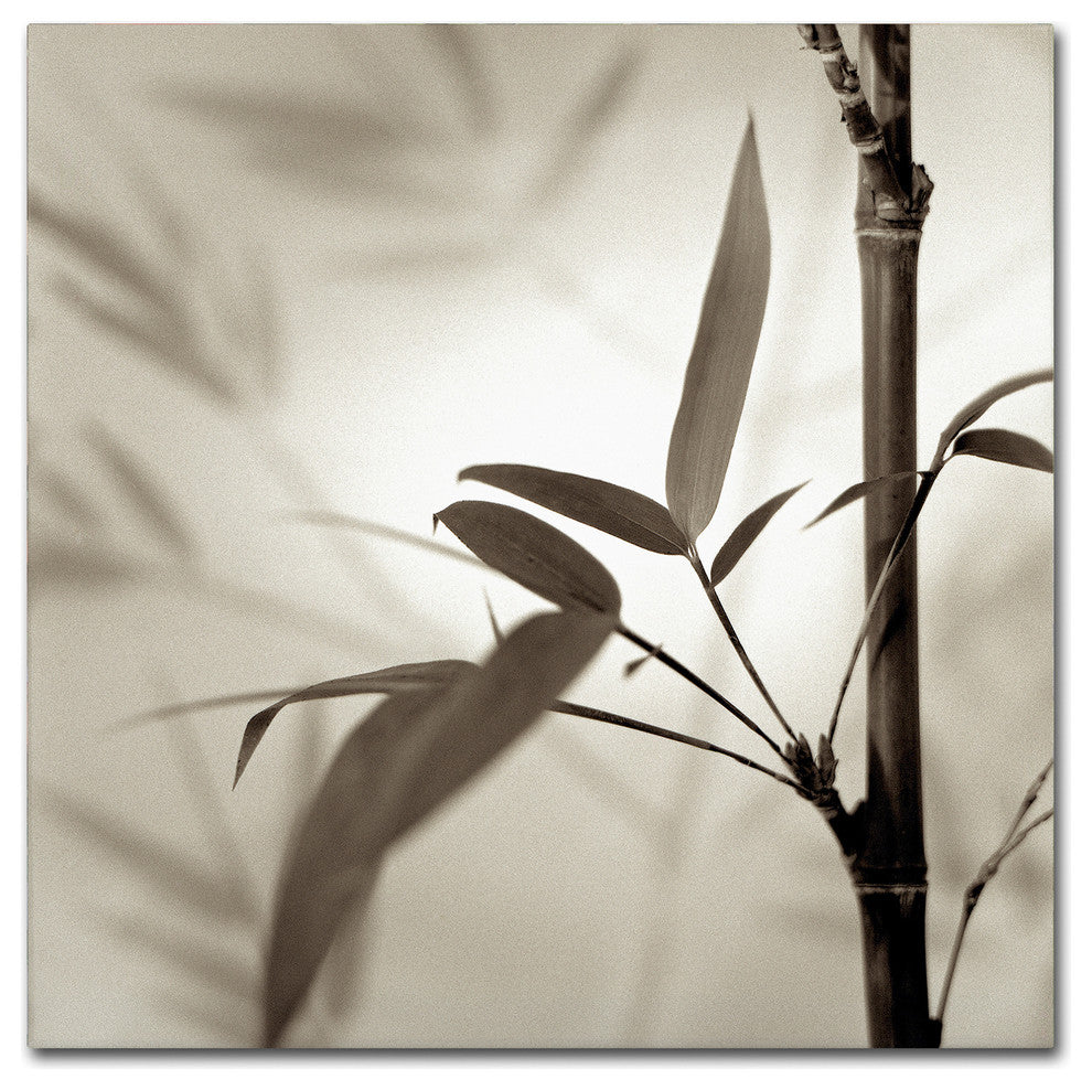 Alan Blaustein ''Florison 64'' Canvas Art, 14x14