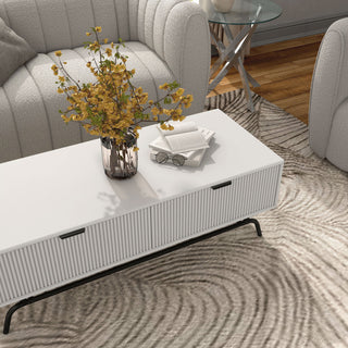 Danel 42 in. Rectangle Coffee Table With 2-Drawers and Metal Legs, White