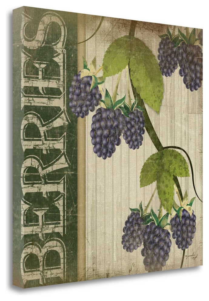 "Berries" By Jennifer Pugh, Giclee Print on Gallery Wrap Canvas, Ready to Hang
