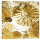 "Underwater Perspective In Gold" by Charlie Carter, Canvas Print, 26"x26"