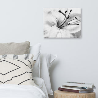 Grey Floral Canvas: High-key Lily Floral Nature Photo Wall Art Print, 16" X 20"
