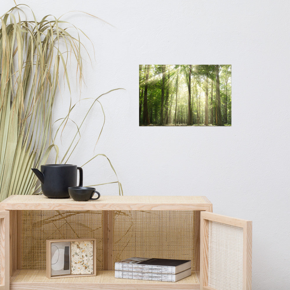 Sun Rays Through Treetops Landscape Photo Unframed Wall Art Print, 12" X 18"