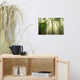 Sun Rays Through Treetops Landscape Photo Unframed Wall Art Print, 12" X 18"