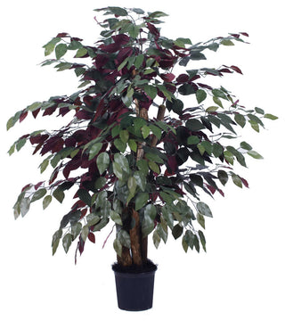 Vickerman Txx0340-06 4' Artificial Capensia Extra Full Bush, Black Plastic Pot