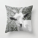 Goat Grey Pillow Cover, 16x16