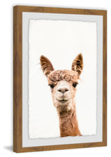 "Llama Face II" Framed Painting Print, 16"x24"