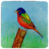 Painted Bunting Coaster - 3 Sets of 4 (12 Total)