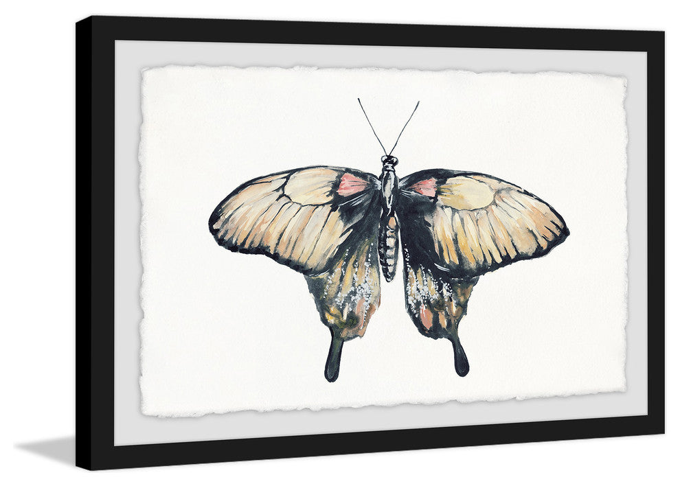 "Cream Colored Wings" Framed Painting Print, 18"x12"