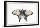 "Cream Colored Wings" Framed Painting Print, 18"x12"