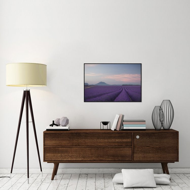 Lavender Field, 36"x24"