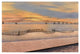"Captree Sunset" Digital Paper Print by Diane Romanello, 32"x22"