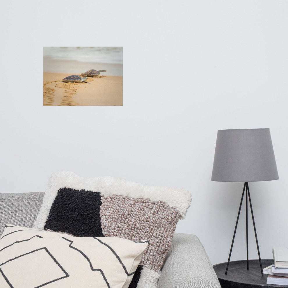 Baby Hawksbill Sea Turtle On The Beach Animal Wildlife Loose Wall Art Print, 12" X 16"