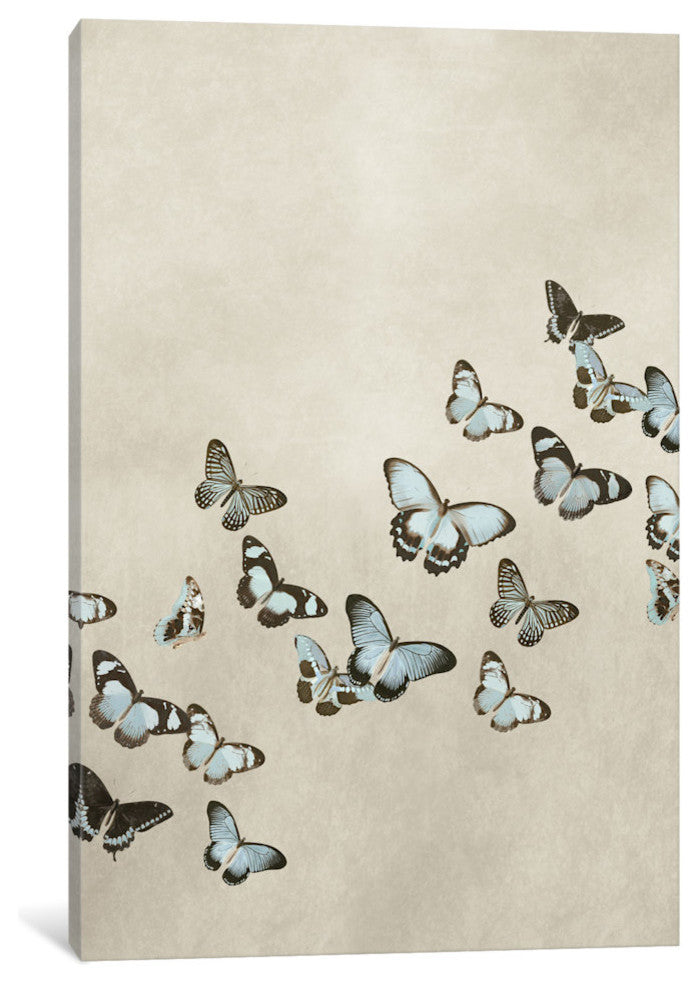 "Spring Flight I" by Deborah Devellier, Canvas Print, 26"x18"