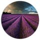 Lavender Field And Dramatic Sky, Floral Round Metal Wall Art, 36"
