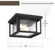2 light ceiling flush mount industrual black ceiling light fixture