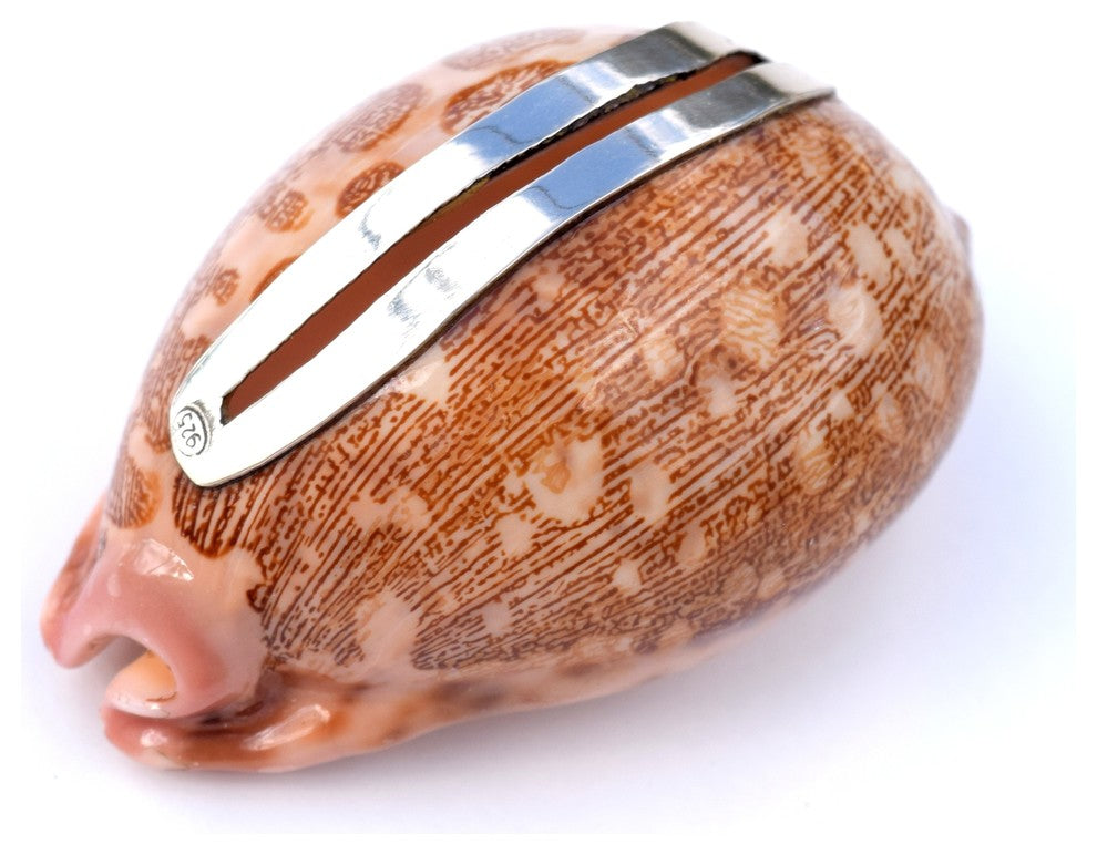 Mappa Shell Place Card Holder with Sterling Silver Insert